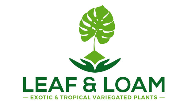 LEAF AND LOAM EXOTICS